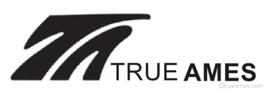 TRUE AMESロゴ